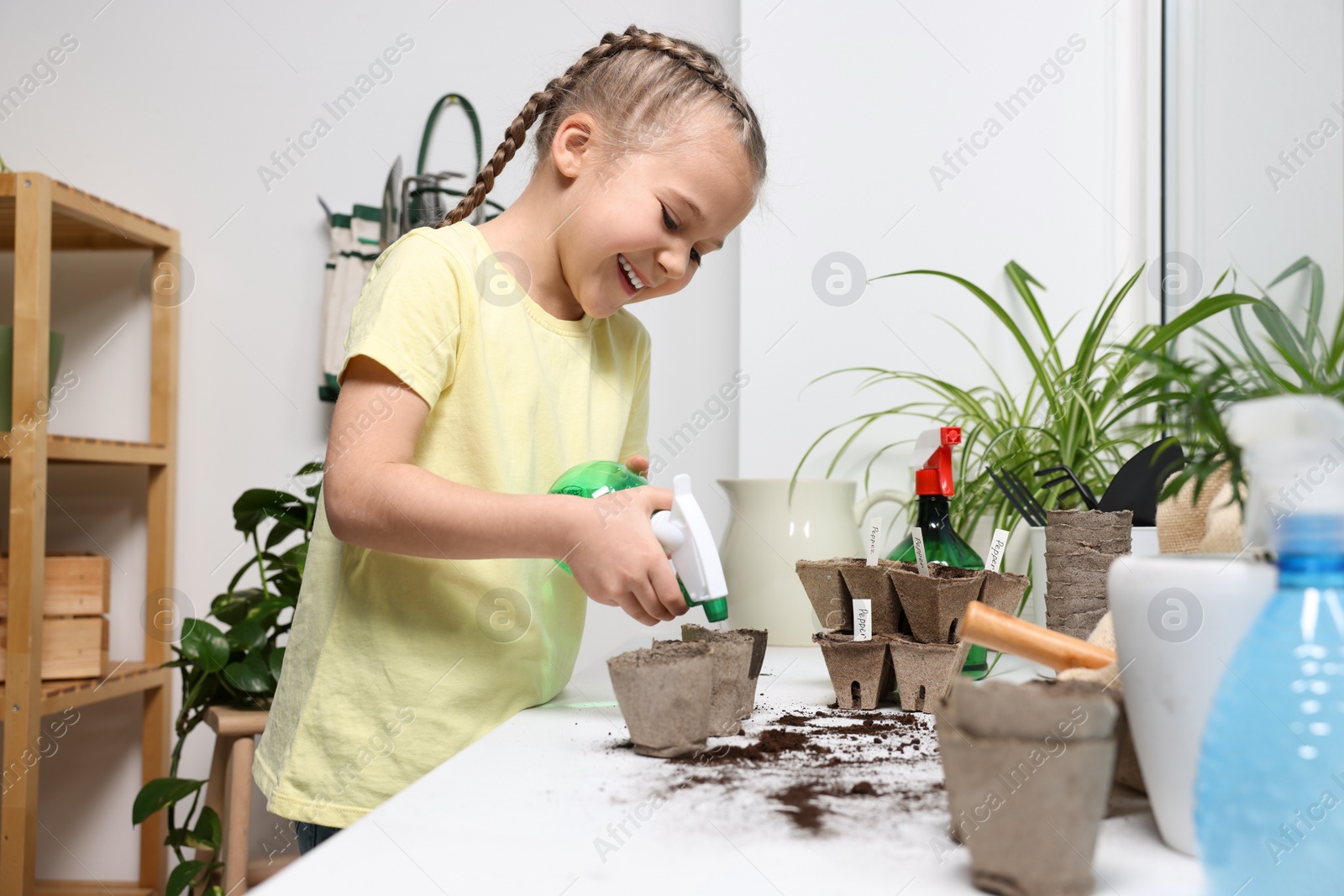 Photo of Little girl spraying water onto vegetable seeds in peat pots on window sill indoors