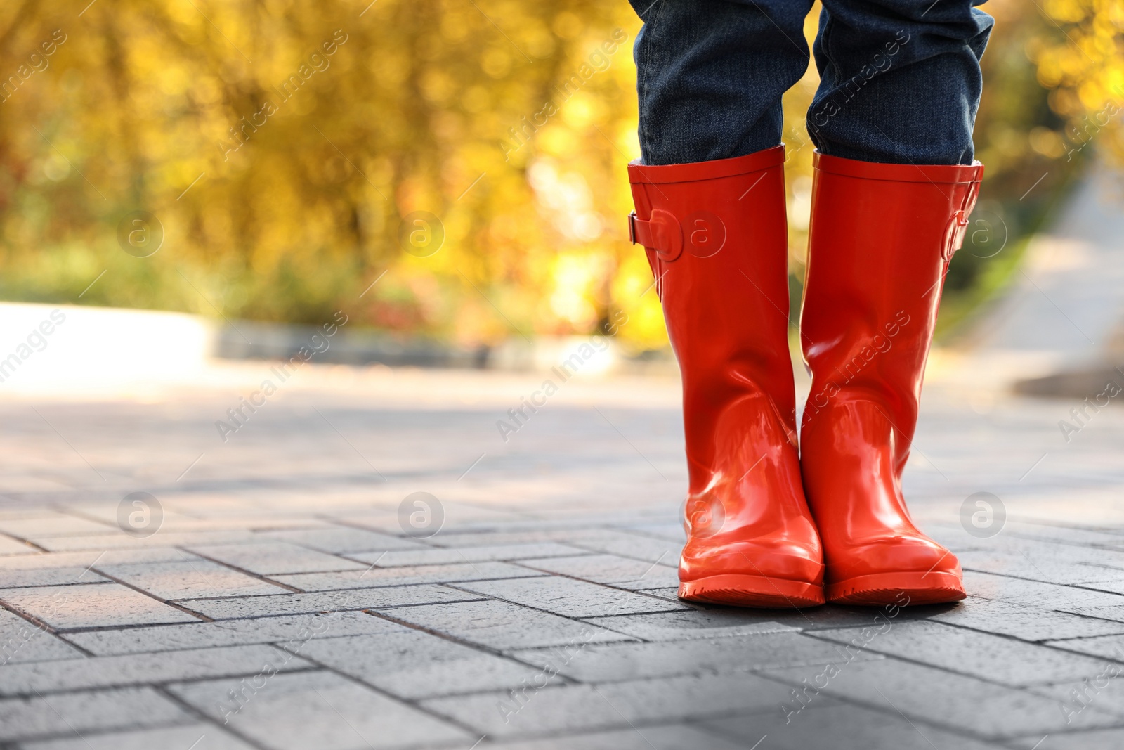 Photo of Woman wearing red rubber boots on paved street in park, closeup. Autumn walk