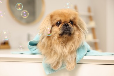 Photo of Cute Pekingese dog with towel and bubbles in bathroom. Pet hygiene