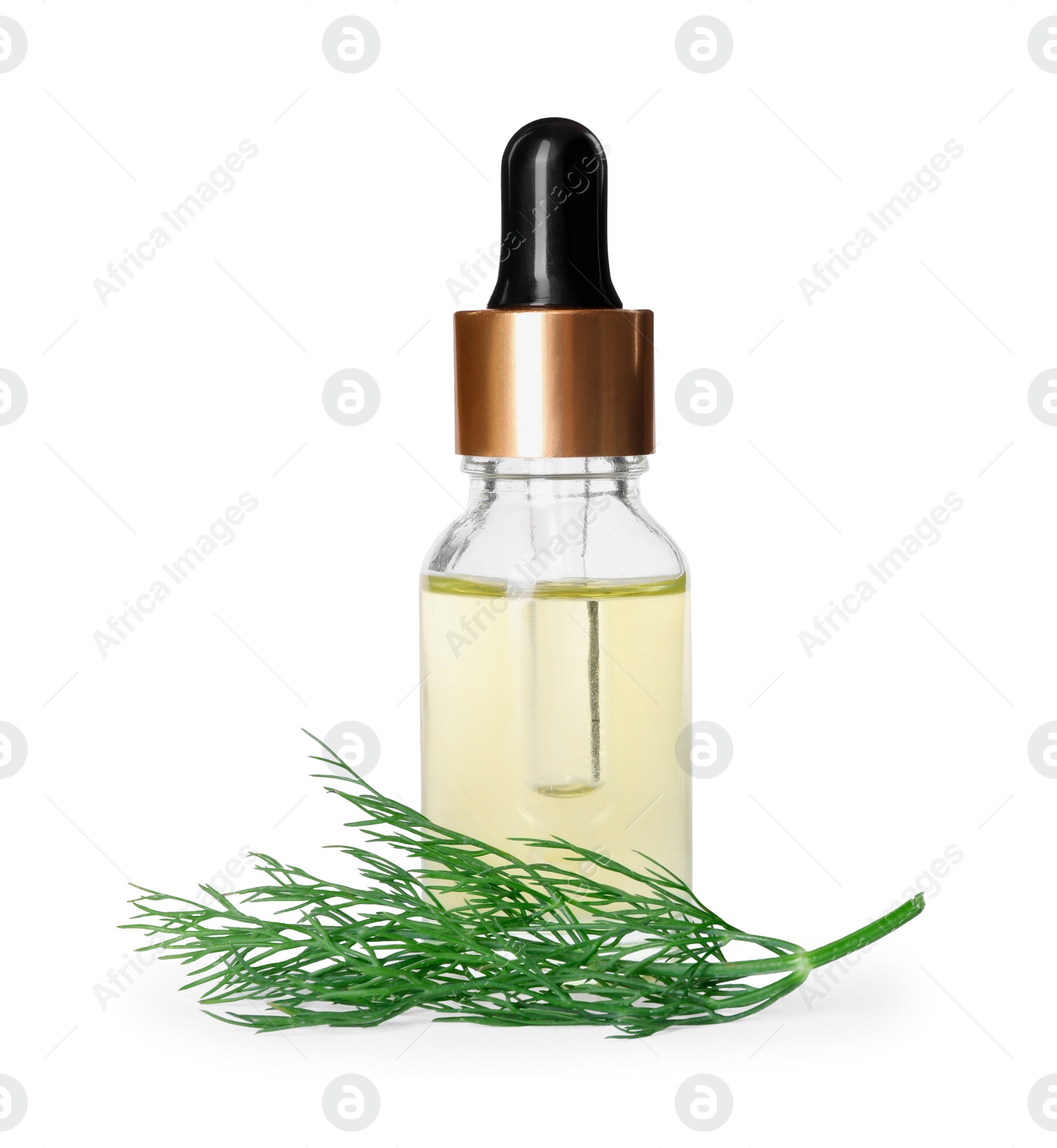 Photo of Bottle of essential oil and fresh dill isolated on white