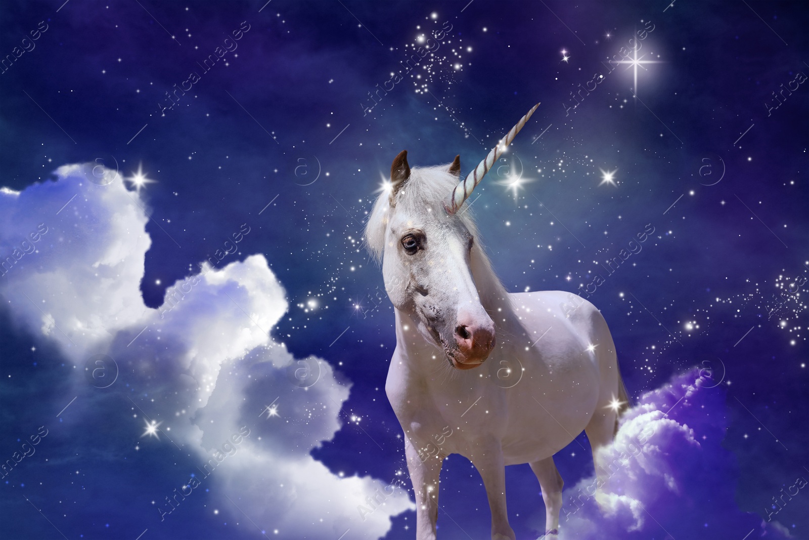 Image of Magic unicorn in fantastic starry sky with fluffy clouds