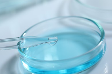 Dripping liquid from pipette into petri dish at white table, closeup