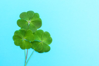 Photo of Beautiful green four leaves clover on light blue background, top view. Space for text
