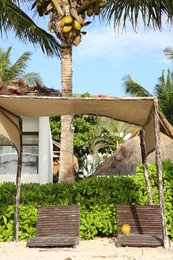 Photo of Wooden sunbeds and canopy on tropical beach on sunny day