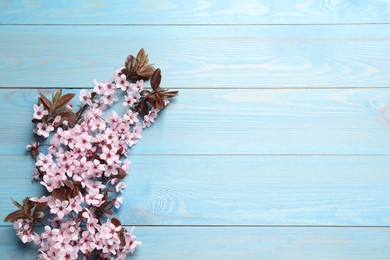 Photo of Beautiful sakura tree blossoms on light blue wooden background, flat lay. Space for text