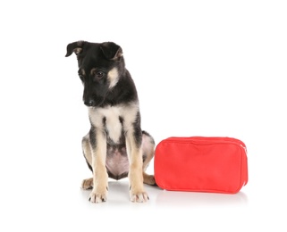 Cute puppy with first aid kit on white background