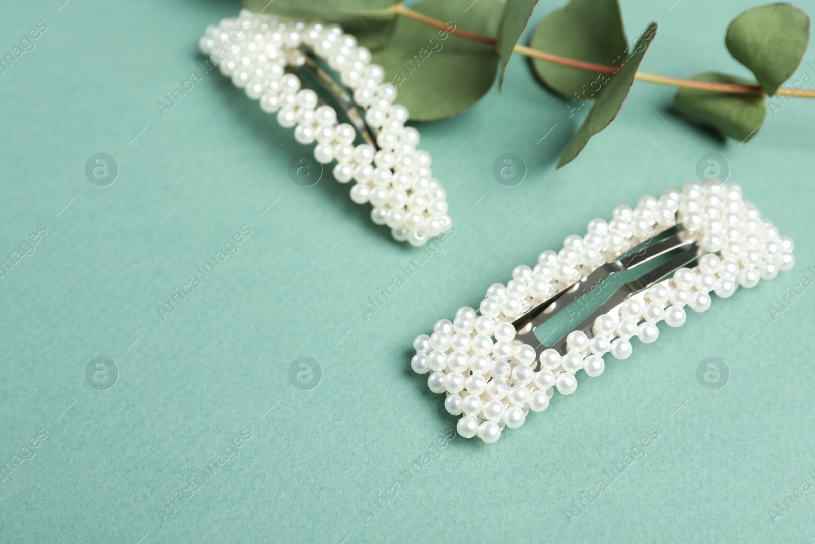 Photo of Stylish hair clips and plant on green background