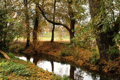 Beautiful park with yellowed trees and small river