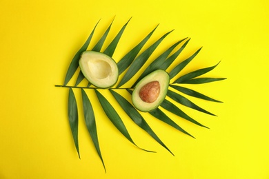 Flat lay composition with ripe avocado and tropical leaf on color background