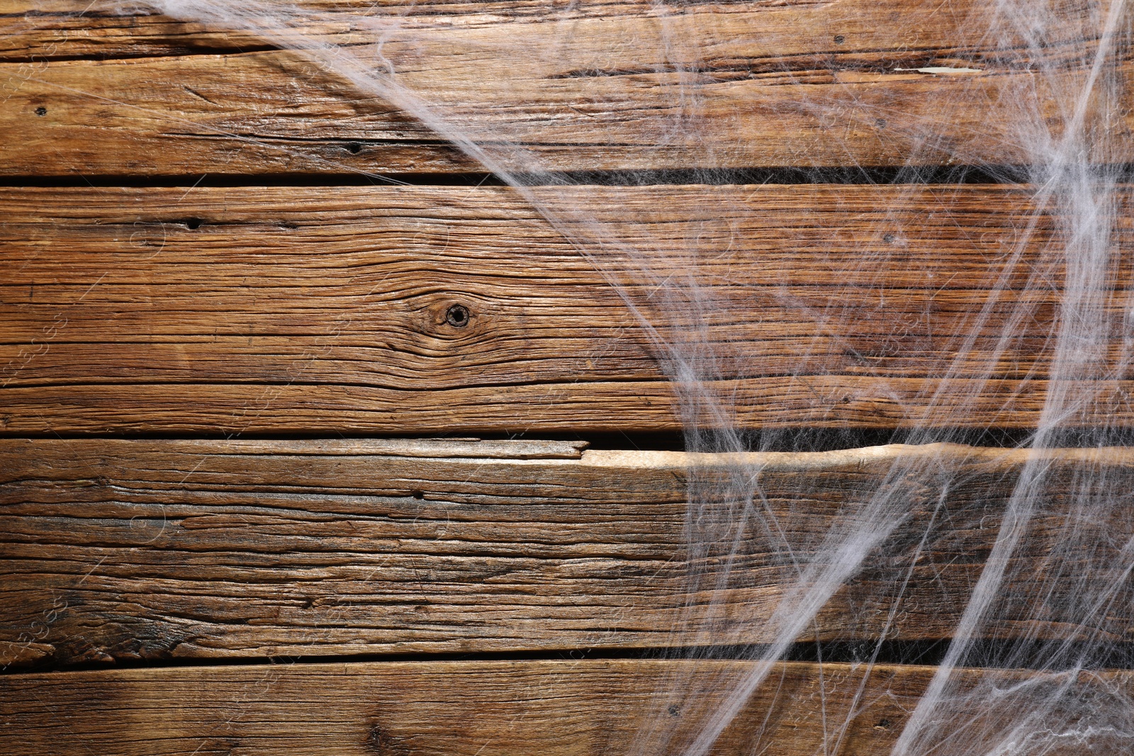 Photo of Creepy white cobweb on wooden wall, space for text