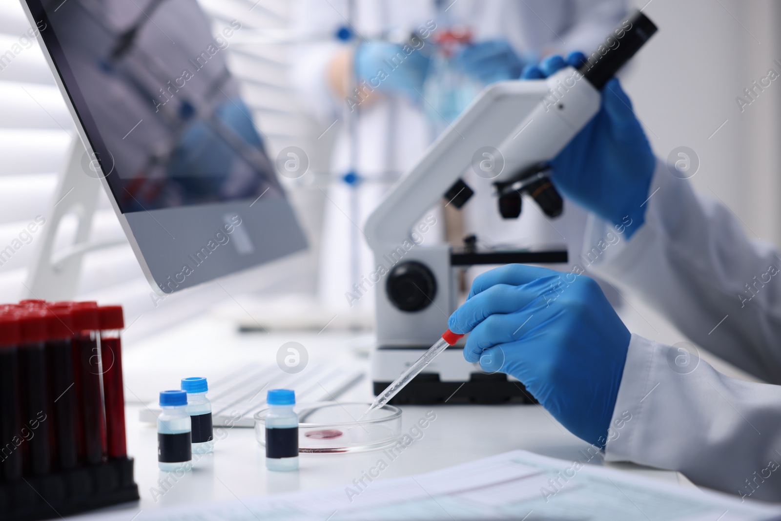 Photo of Scientists working with samples in laboratory, closeup. Medical research