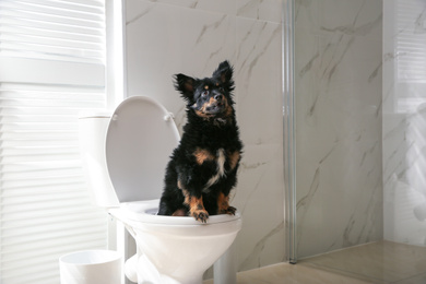 Photo of Cute dog sitting on toilet bowl in modern bathroom