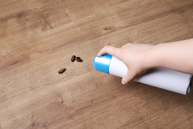 Photo of Woman spraying insecticide onto cockroaches, closeup. Pest control