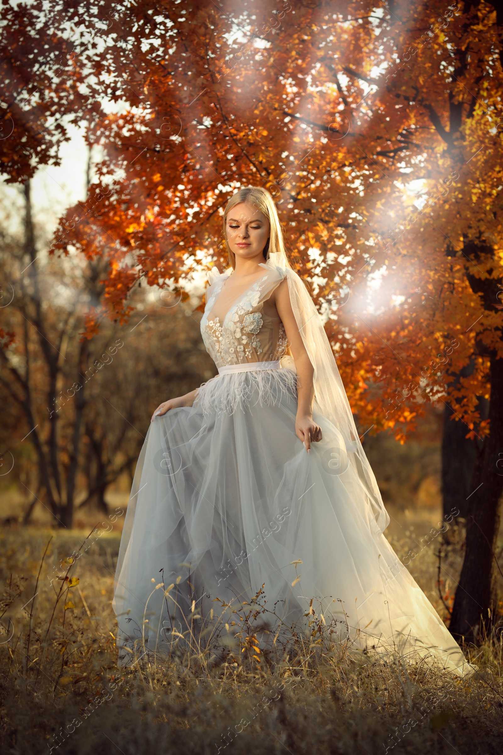 Photo of Beautiful girl wearing fairy dress in autumn forest