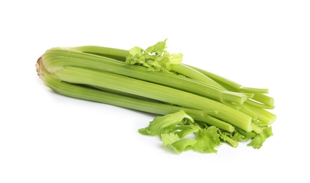 Fresh ripe green celery isolated on white