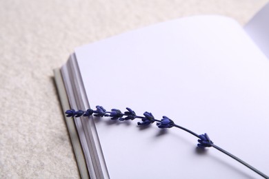 Photo of Preserved lavender flower and notebook on white textured table, closeup. Space for text