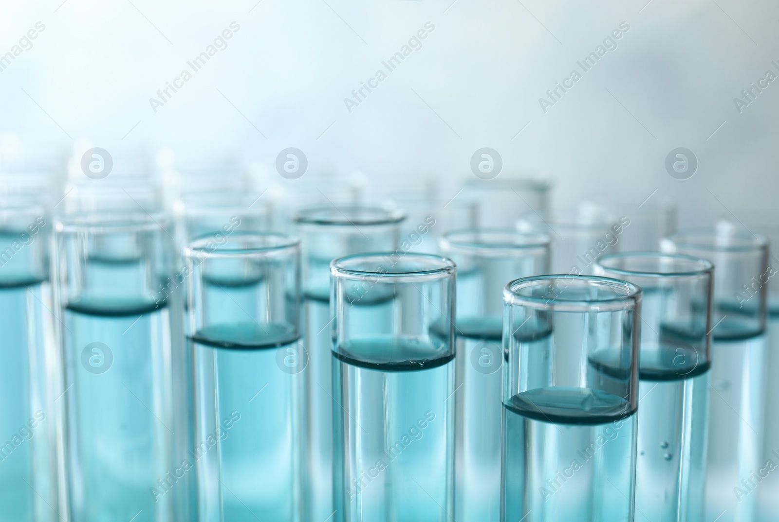 Photo of Many test tubes with light blue liquid, closeup