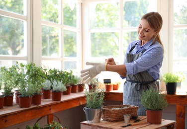 Young woman taking care of home plants at wooden table in shop