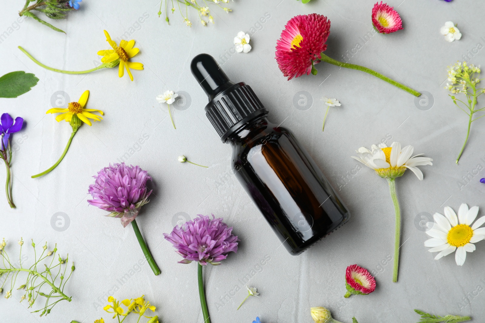 Photo of Bottle of essential oil and different flowers on grey background, flat lay