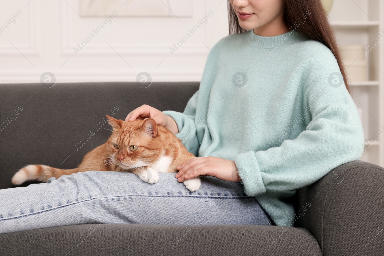 Photo of Woman petting cute cat on sofa at home, closeup