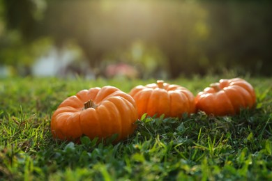 Photo of Fresh ripe orange pumpkins on green grass