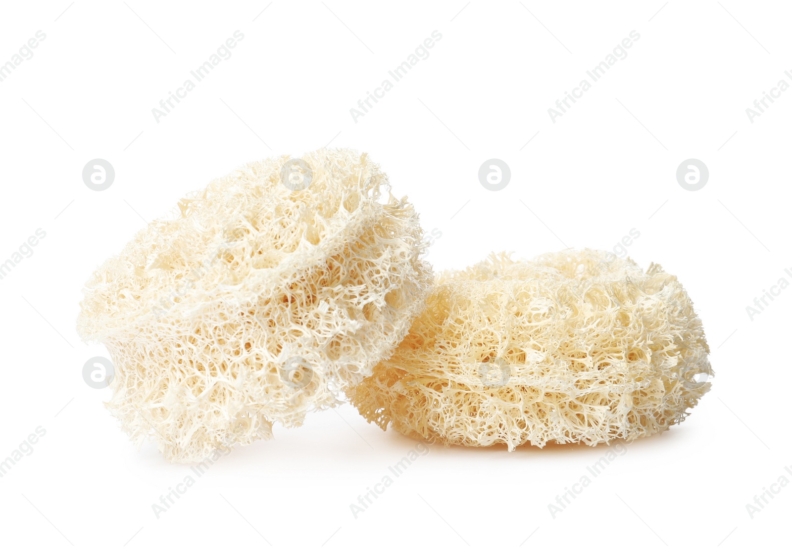 Photo of Natural shower loofah sponges on white background