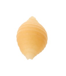 Photo of One piece of raw conchiglie pasta isolated on white