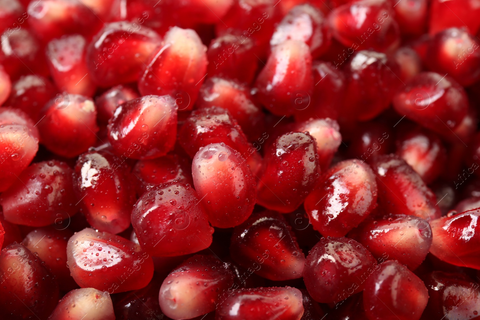 Photo of Ripe juicy pomegranate grains with water drops as background, closeup