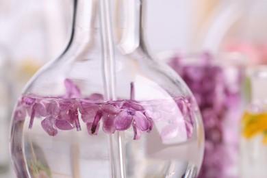 Photo of Laboratory flask with lilac flowers, closeup. Extracting essential oil for perfumery and cosmetics