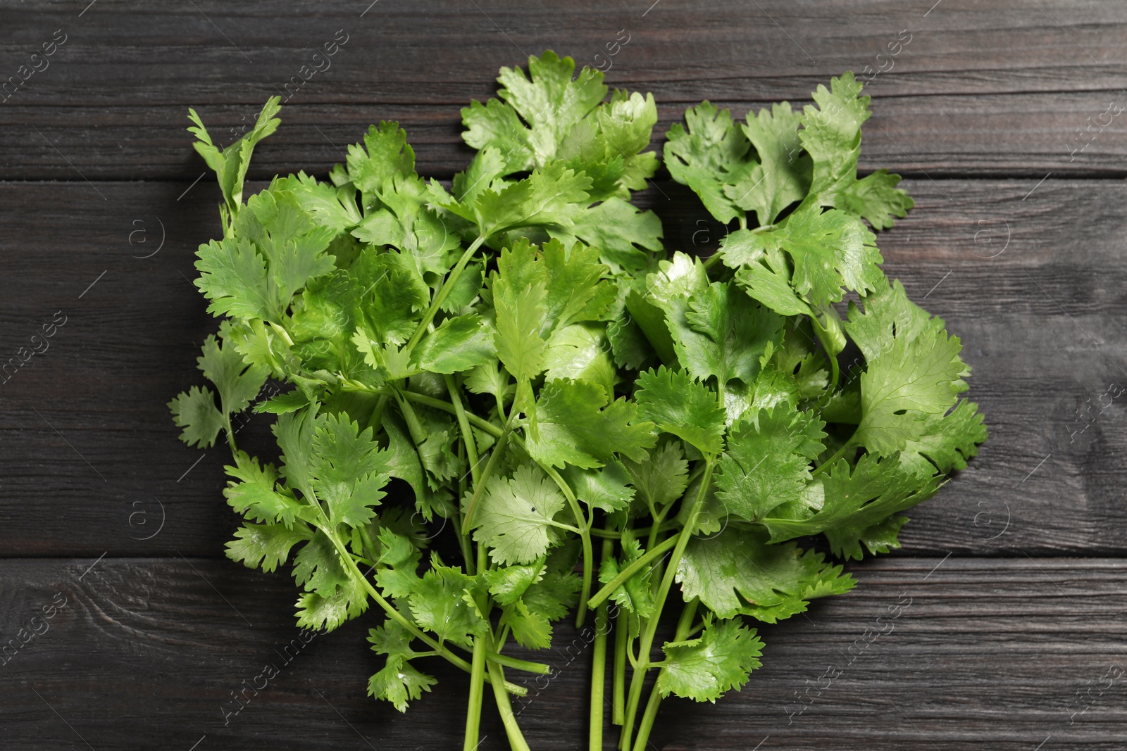 Photo of Bunch of fresh green cilantro on black wooden table, top view