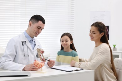 Photo of Gastroenterologist with models of stomach and intestine consulting woman and her daughter in clinic