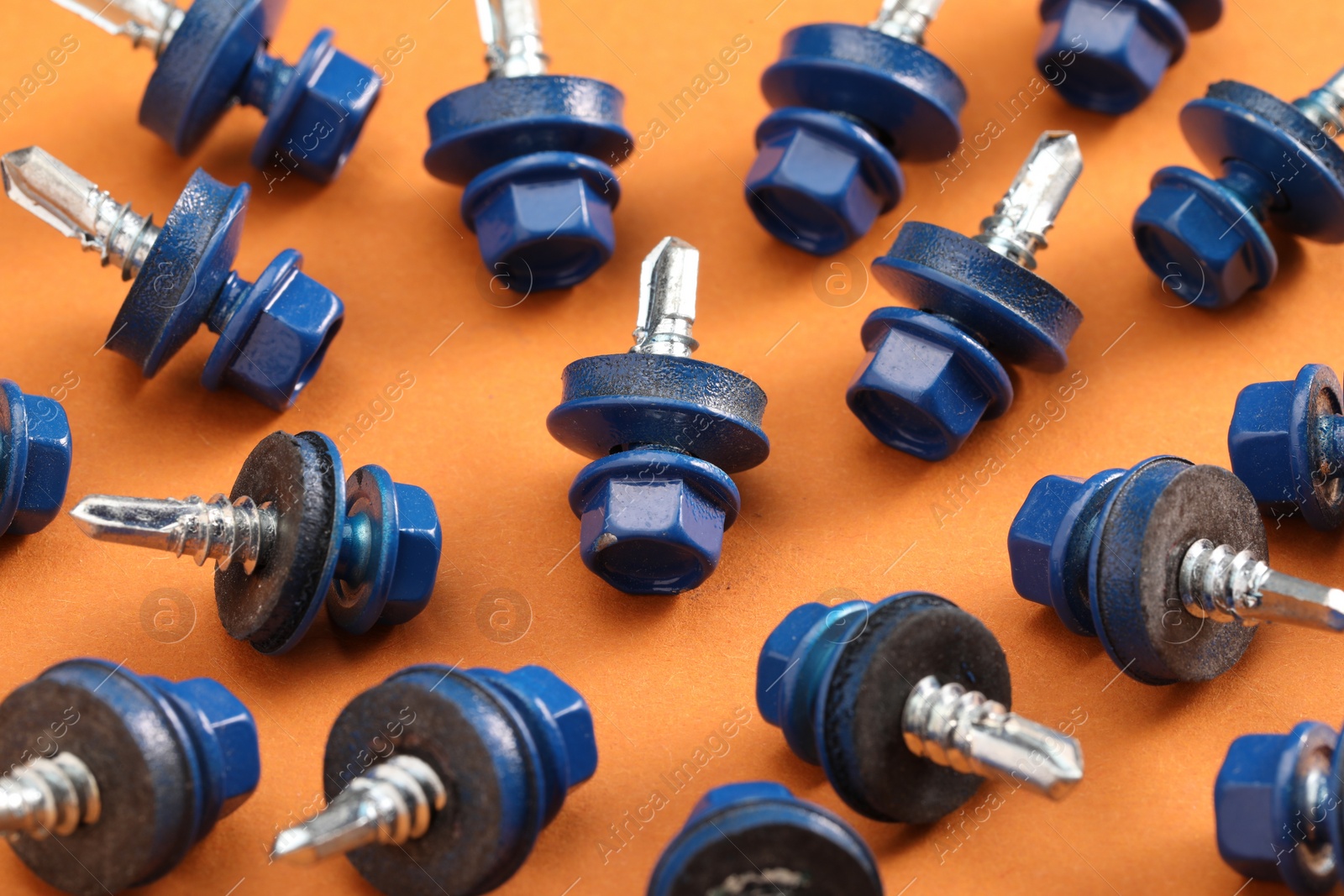 Photo of Blue self-tapping screws on orange background, closeup