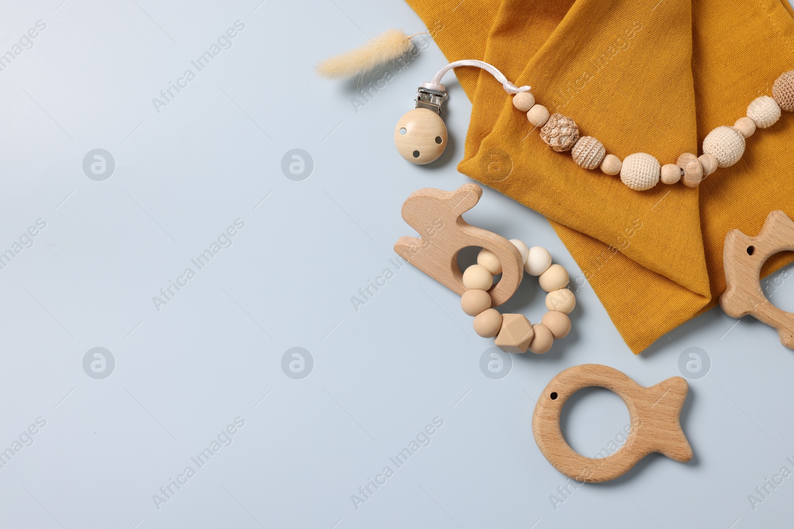 Photo of Different baby accessories and dry spike on light blue background, flat lay. Space for text