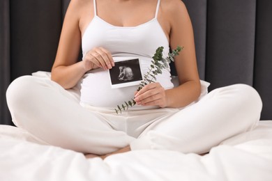 Photo of Pregnant woman with ultrasound picture of baby and plant twig on bed, closeup