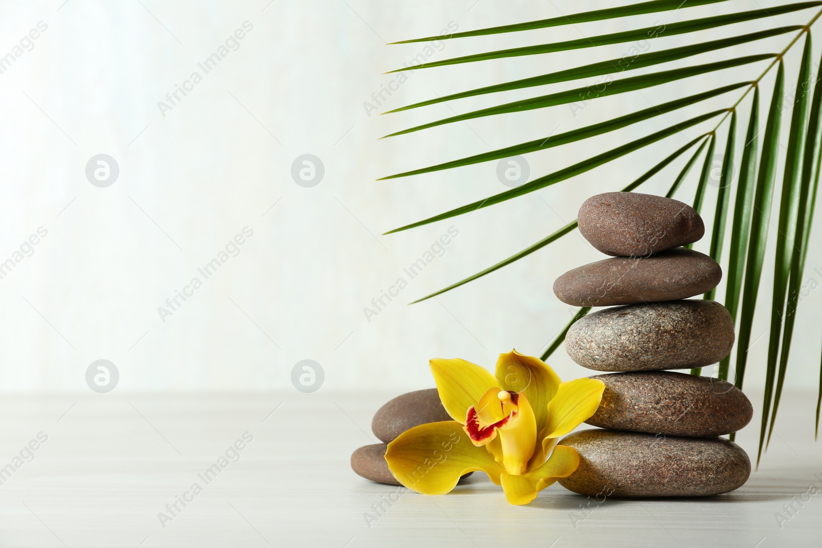 Photo of Stack of spa stones, palm leaf and flower on table against white background, space for text