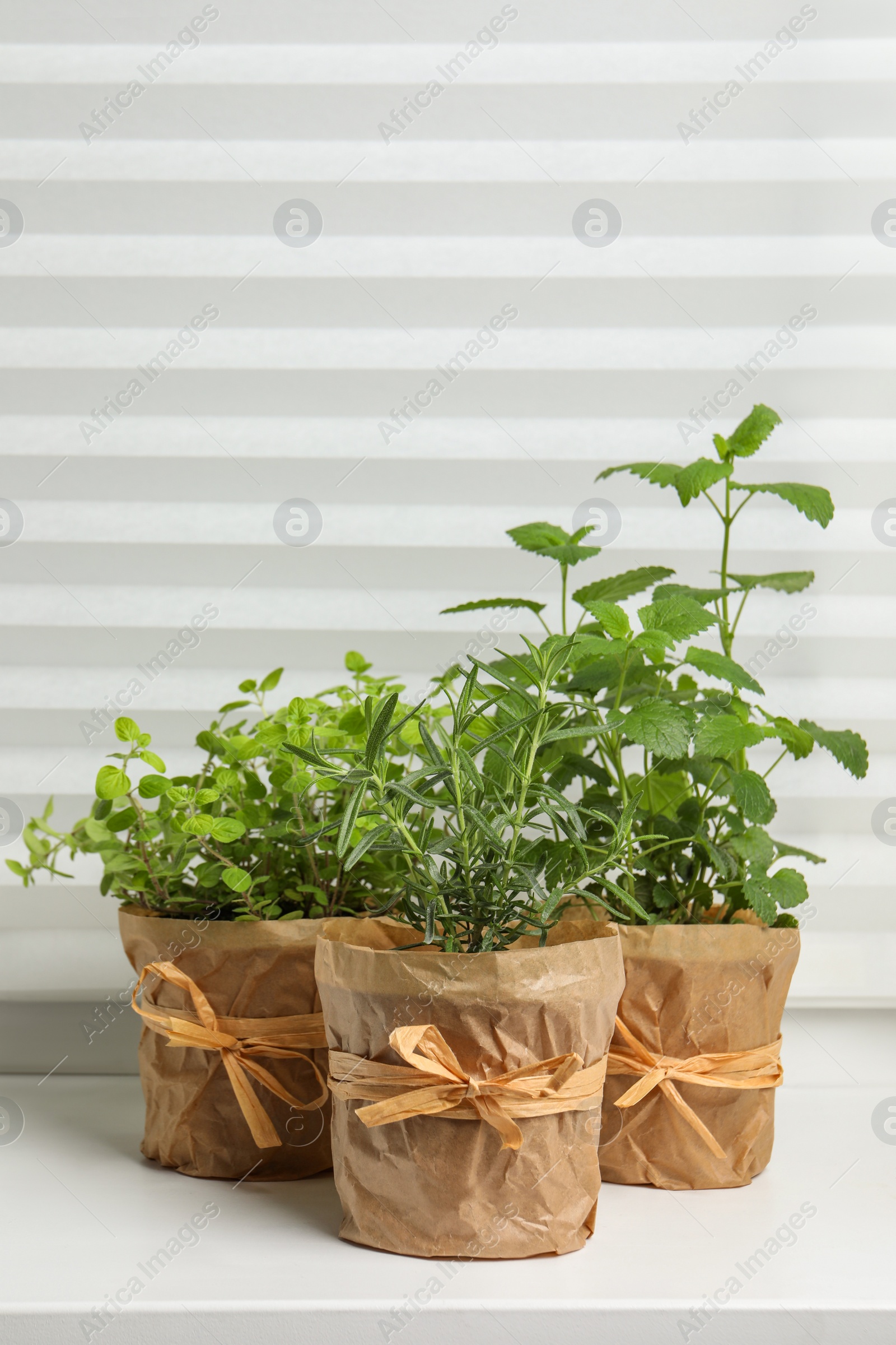 Photo of Different aromatic potted herbs on windowsill indoors