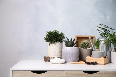 Different house plants in pots with gardening tools on white table. Space for text