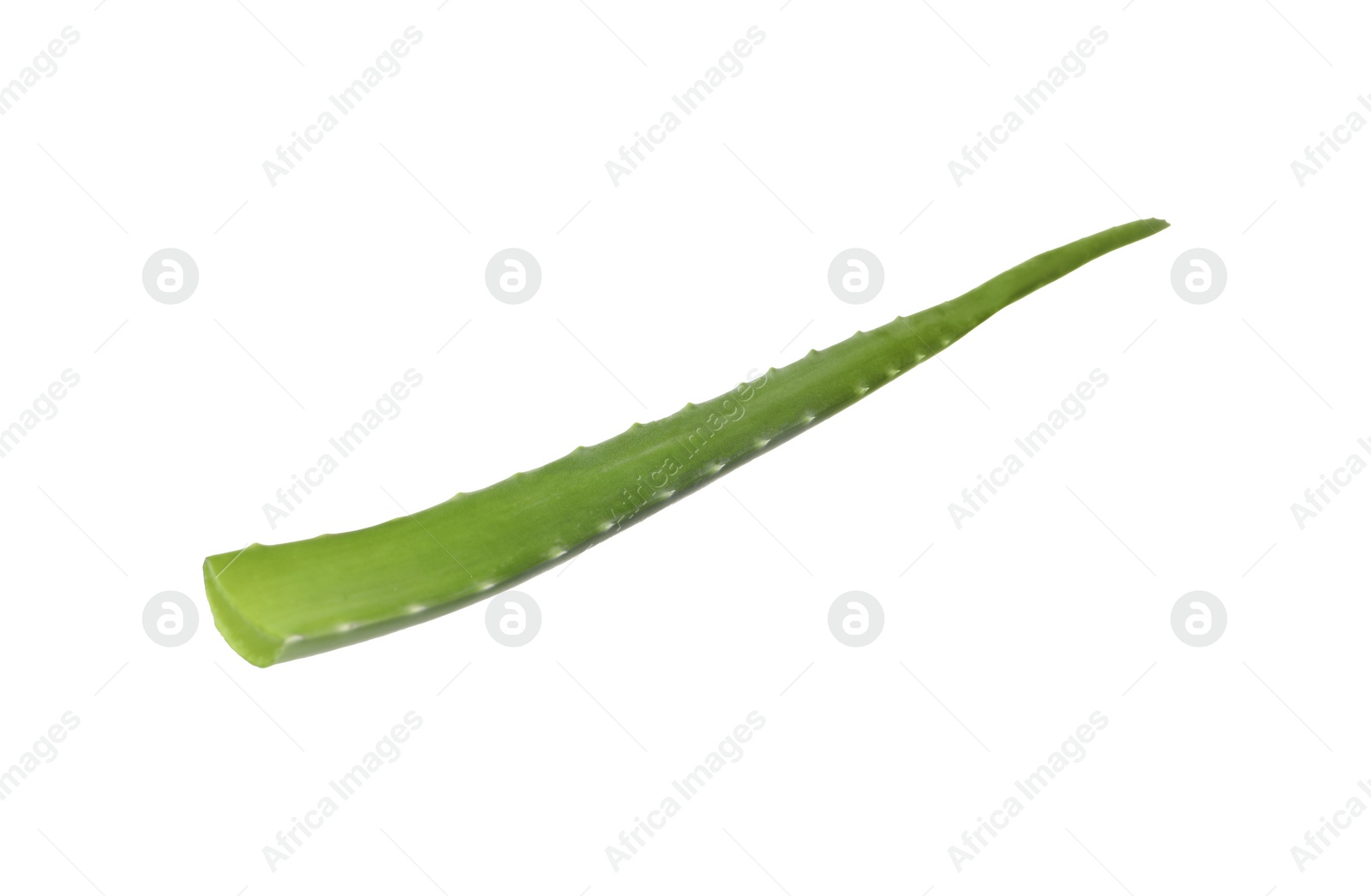 Photo of One aloe vera leaf isolated on white