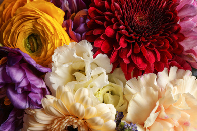 Beautiful flowers as background, closeup view. Floral decor