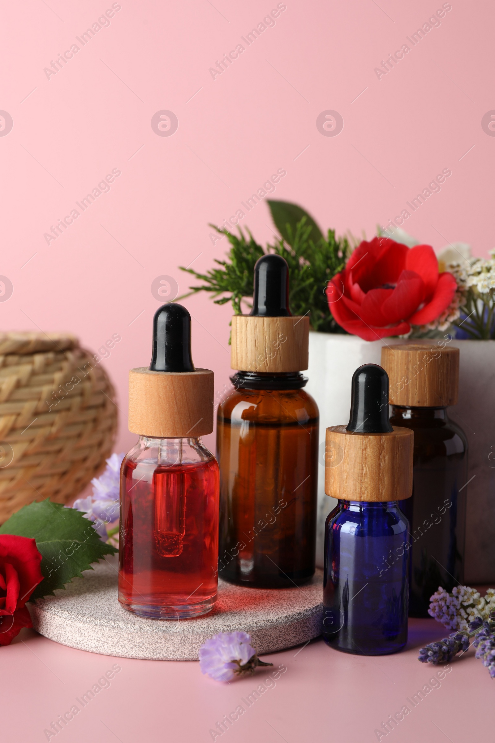 Photo of Aromatherapy. Different essential oils and flowers on pink background