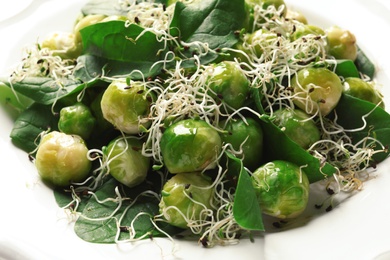 Photo of Plate of delicious salad with Brussels sprouts, closeup