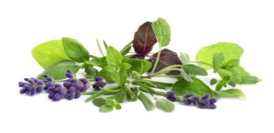 Photo of Various fresh aromatic herbs on white background