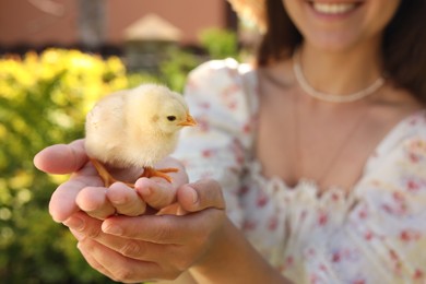 Woman with cute chick outdoors, selective focus. Baby animal