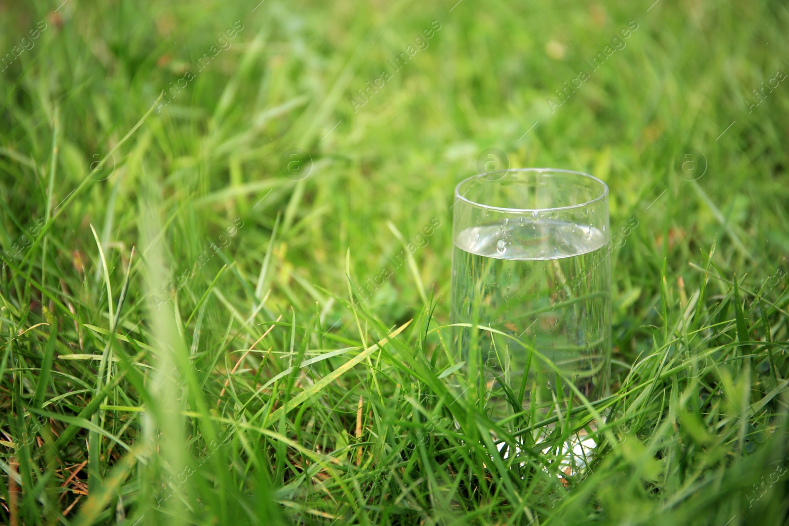 Photo of Glass of fresh water on green grass outdoors, space for text