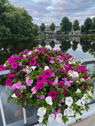 Photo of View of beautiful flowers on bridge over water