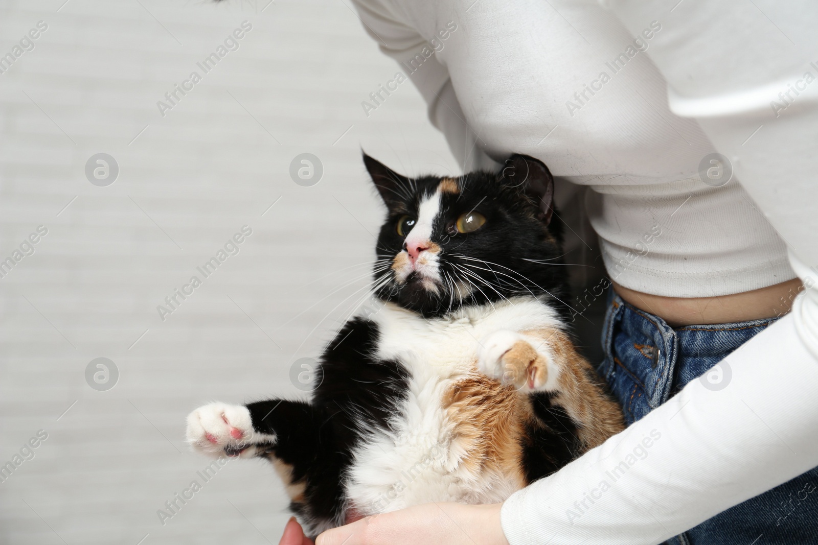 Photo of Woman with her cute cat on light grey background, closeup