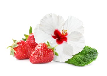Image of Beautiful hibiscus flower, fresh tasty strawberries and mint on white background