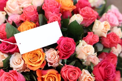 Bouquet of beautiful roses with blank card, closeup