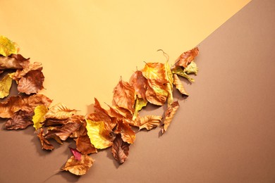 Photo of Dry autumn leaves on color background, top view