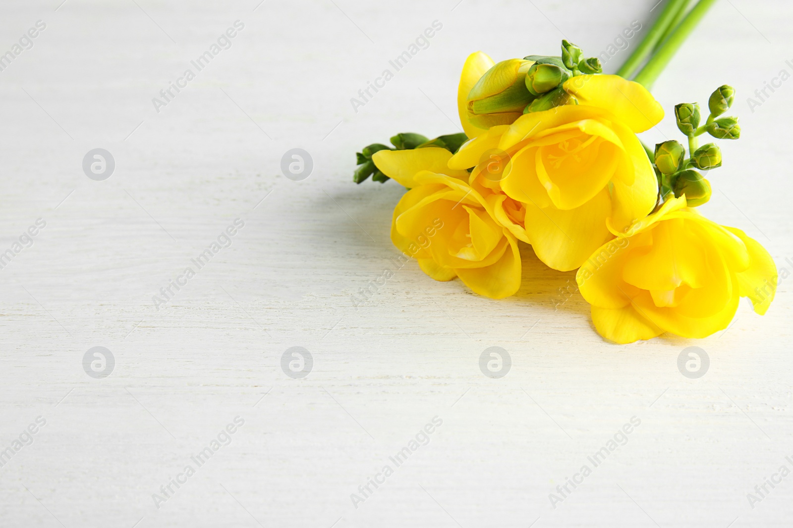Photo of Beautiful fresh freesia flowers on wooden background. Space for text